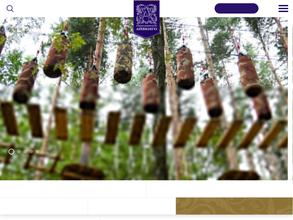 Замок Айвенго