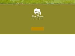 Стар Дансер