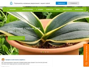 Орхидеи тут