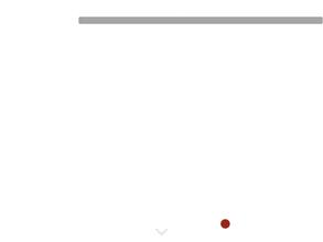 Ферромагнитотранс