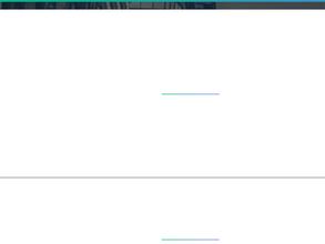 Стандарт Развития