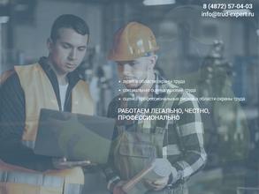 ЦОТ ТРУД-ЭКСПЕРТ