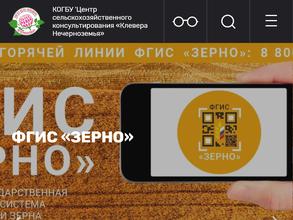 Клевера Нечерноземья