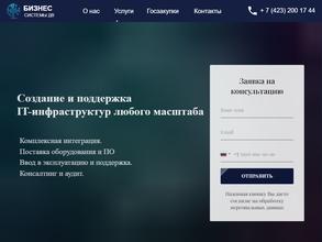 Бизнес Системы ДВ