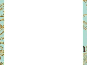 Фирменный салон Terem