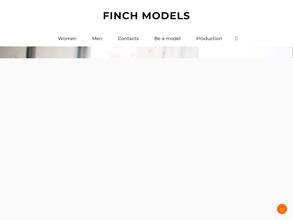Finch models
