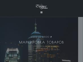 Бизнес Профи