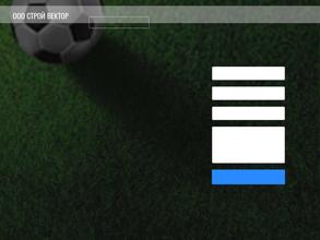 Строй Вектор