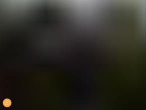 Ураллесторг