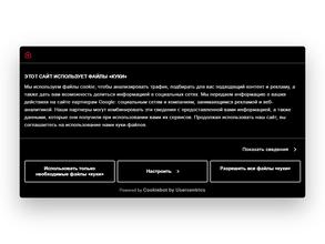 Аристон термо Русь