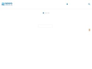 Боос Лайтинг Групп