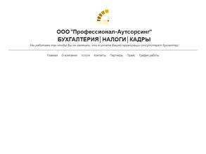 ПРОФЕССИОНАЛ-АУТСОРСИНГ