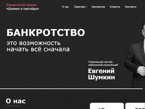 Шумкин и партнёры