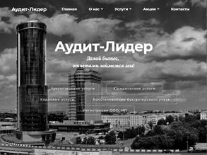 Аудит-Лидер