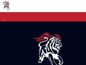 Фейерверк-Мастер