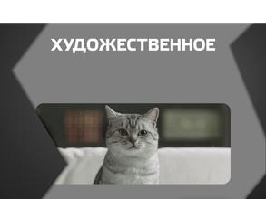 Камин-синема