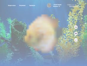 Мир аквариума