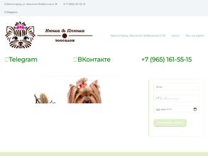 Нюша & Плюша