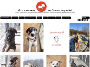 Супер собака