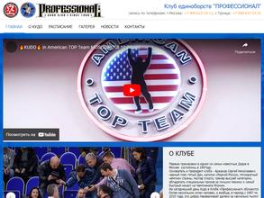 Профессионал