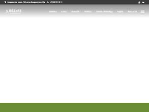 Международная школа бейсбола