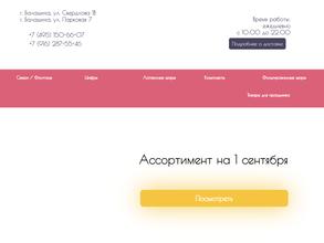 Магазин детских игрушек