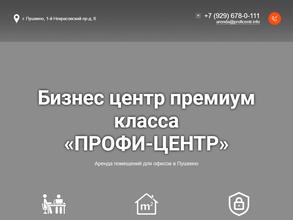 Профи-центр