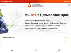 ЛПХ Макаревич