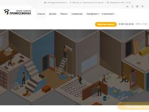 Профессионал