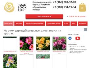 Rozebook.ru
