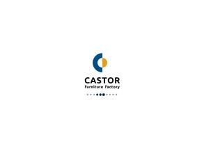 Castor