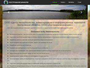 Костромалесинформ