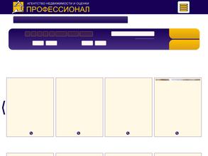 Профессионал
