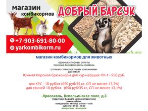 Добрый Барсук