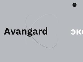 Авангард эксперт