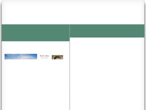 КАРЛИН ГРУПП