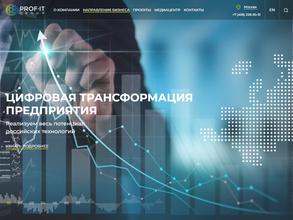 ПРОФ-ИТ ЭКСПЕРТ