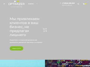 Optimizer