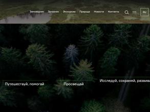 Брянский лес