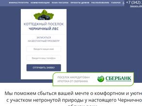 Черничный лес