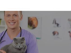 Екатериноvet