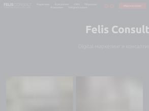 Felis Consult