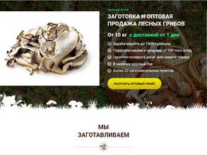 Грибной край