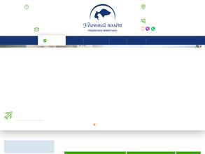 Удачный полёт