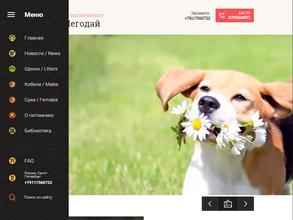 Ами-Шегодай