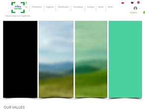 Прима Европа