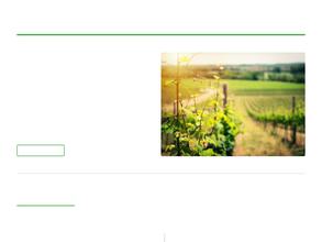 Виноградник