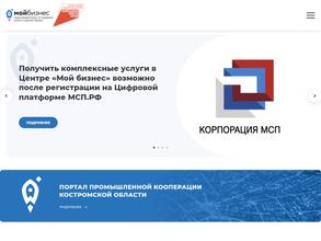 Агентство инвестиций и развития предпринимательства Костромской области