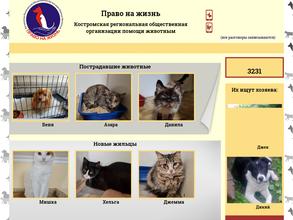 Право на жизнь