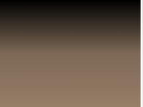 Шаурмастер44